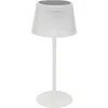 Image de Lampe Solaire LED Katy 30cm Blanc