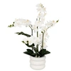 Image de Créateur d'intérieur - Orchidée Artificielle en Pot "Mick" 80cm Blanc