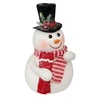 Image de Créateur d'intérieur - Bonhomme de Neige Déco "Chapeau" 23cm Blanc