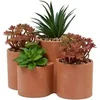 Image de Plantes Grasses Artificielles en Pot 22cm Terracotta