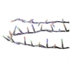 Image de Féérie Lights & Christmas - Guirlande Boa d'extérieur 18,75 mètres - 750 LED - multi couleur