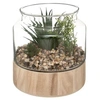 Image de Créateur d'intérieur - Terrarium en Verre & Bois "Brito" 17cm Transparent