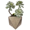 Image de Créateur d'intérieur - Plante Grasse Artificielle "Geom" 30cm Naturel