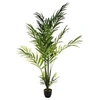 Image de Créateur d'intérieur - Palmier Artificiel "Areca" 230cm Vert