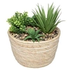 Image de Créateur d'intérieur - Plante Artificielle "Composition" 18cm Naturel & Vert