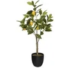 Image de Créateur d'intérieur - Plante Artificielle "Citronnier" 73cm Multicolore