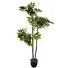 Image de Créateur d'intérieur - Plante Artificielle "Schefflera" 135cm Vert & Noir