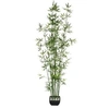 Image de Créateur d'intérieur - Plante Artificielle en Pot "Bambou" 183cm Vert & Noir