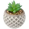 Image de Atmosphera Pot De Fleur Jj1688