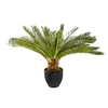 Image de plante ananas artificiel 72cm - 164252