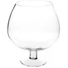 Image de Créateur d'intérieur - Coupe sur Pied "Cognac" 24cm Transparent