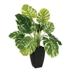 Image de philodendron monstera artificiel 70cm - 103166