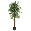 Image de Créateur d'intérieur - Plante Artificielle "Ficus" 185cm Vert