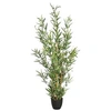 Image de Créateur d'intérieur - Plante Artificielle "Bambou" 126cm Vert