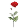 Image de Créateur d'intérieur - Fleur Artificielle "Coquelicot" 70cm Rouge