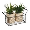 Image de Créateur d'intérieur - Lot de 2 Aloe Vera & Panier "Well" 23cm Vert