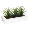 Image de Créateur d'intérieur - Centre de Table Aloe Vera "Plant" 31cm Blanc