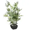 Image de Plante artificielle - Bambou - H 70 cm