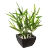 Image de Créateur d'intérieur - Plante Artificielle en Pot "Bambou" 26cm Noir