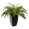 Image de Créateur d'intérieur - Plante Artificielle en Pot "Fougère" 55cm Vert