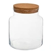 Image de contenant terrarium verre bouchon liège 21.5cm - 168576