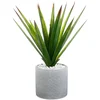 Image de Atmosphera Plante Artificielle 49 Cm Deco Green Collection One Size