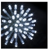 Image de Guirlande programmable 300 LED 30 mètres blanc froid FT