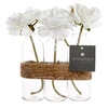 Image de composition 3 vases tube avec roses - 135412