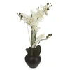 Image de Orchidée et vase en céramique - 50 x 28 x 53 cm - Noir