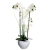 Image de Créateur d'intérieur - Composition Florale & Vase "Orchidée" 53cm Blanc