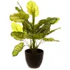 Image de Atmosphera Jj3031 Pot De Fleurs