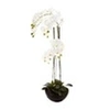 Image de Créateur d'intérieur - Fleur Artificielle en Pot "Orchidée" 115cm Blanc