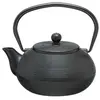 Image de Secret de Gourmet - Théière à filtre en fonte Marin - 600 ml - Noir - Marin