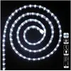 Image de Tube lumineux LED 24 mètres ext/int coloris blanc froid
