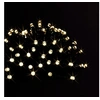 Image de Fééric Lights and Christmas - Guirlande Lumineuse Extérieur Program 3,5m Blanc Chaud