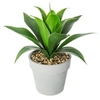 Image de - Aloé Vera artificiel - Hauteur 34 cm - Vert