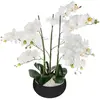 Image de Atmosphera Pot De Fleur Orchid Jj1682