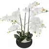 Image de Orchidée artificielle en pot - H 65 cm - Blanc
