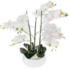 Image de Atmosphera Pot De Fleur Orchid Jj1683 One Size