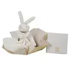 Image de Lapin Mouchoir Boîte Fleur