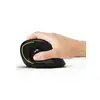 Image de Port MOUSE ERGO RECHARGEABLE BLTH TRACK BALL