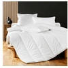 Image de Couette anti-acariens premium 240x220