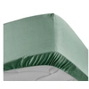 Image de Drap housse - 140 x 190 cm - Percale - 78 fils - Uni Tilleul