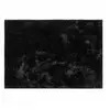 Image de Tapis Imitation Fourrure "Feline" 120x170cm Noir