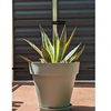Image de Bac a fleurs rond SOLEILLA - Plastique - Diametre 50 cm - Vert argile