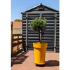 Image de Bac a fleurs SOLEILLA - Plastique - Hauteur 53 cm - Jaune