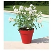 Image de Riviera pot soleilla diametre 60 cm rouge