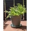 Image de Bac a fleurs rond SOLEILLA - Plastique - Diametre 60 cm Vert argile