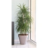 Image de Pot de fleurs Loft avec réserve d'eau - Rond - Ø 50 x H 46 cm -Taupe