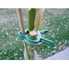 Image de Clip Épingle pour Arbre et Tuteur (x6) | Vilmorin Jardin